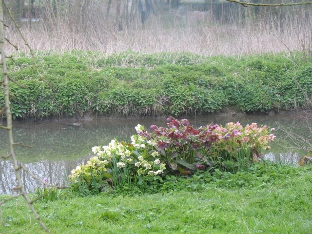 2007 03 Rando Gallardon 19